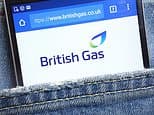 British Gas launches fixed energy tariff at £222 below July price cap - but be quick if you want to sign up