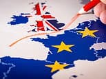 Smaller company shares are primed for profit ten years after Brexit, says UK fund manager