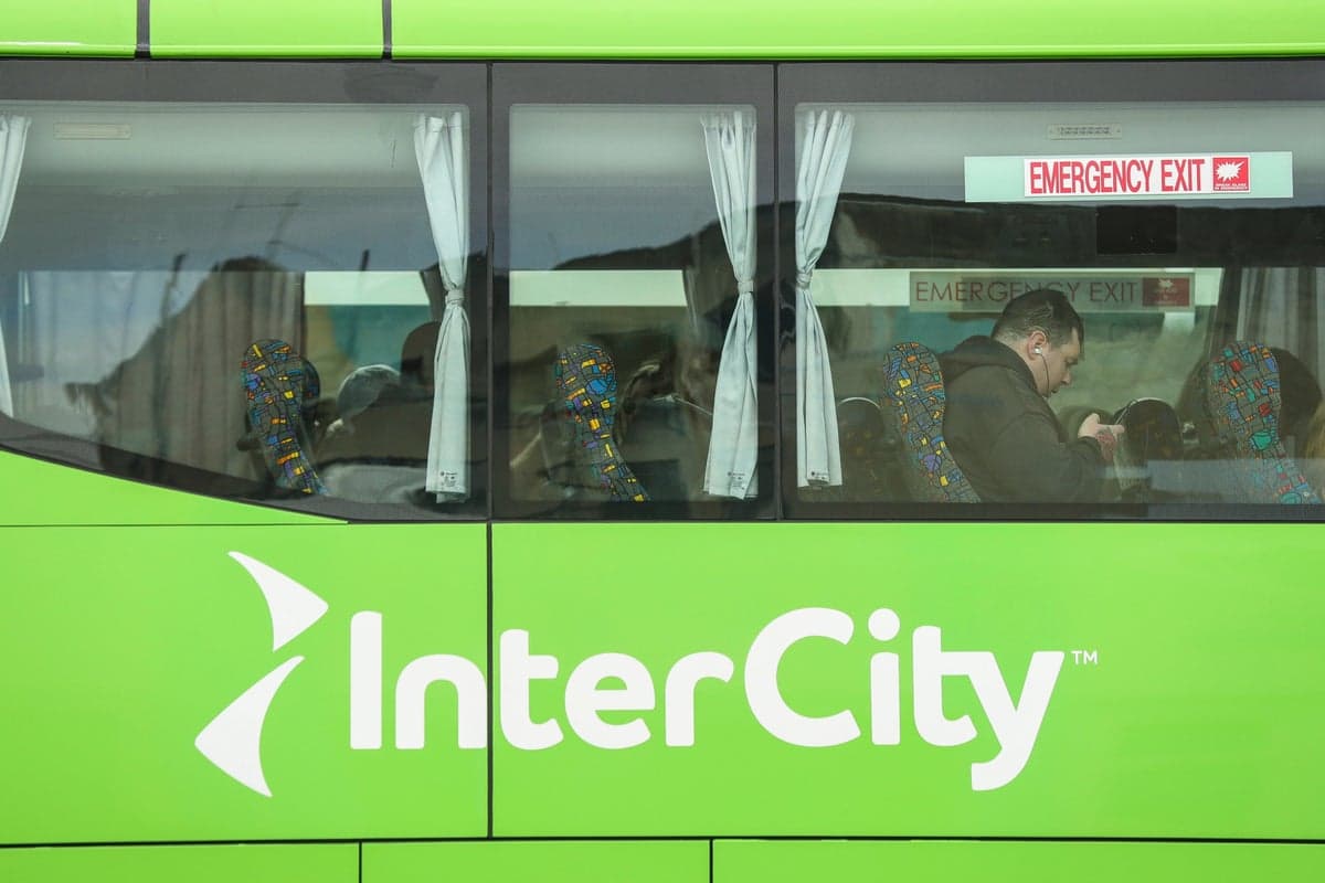 Police arrest woman after toddler found alive in suitcase stowed in bus luggage