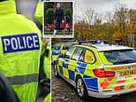Home Secretary told we need 1,000 more traffic cops as too many drivers 'simply get away with motoring offences'