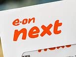 Should you fix your energy bill until 2028? Eon Next launches cheapest deal from major supplier