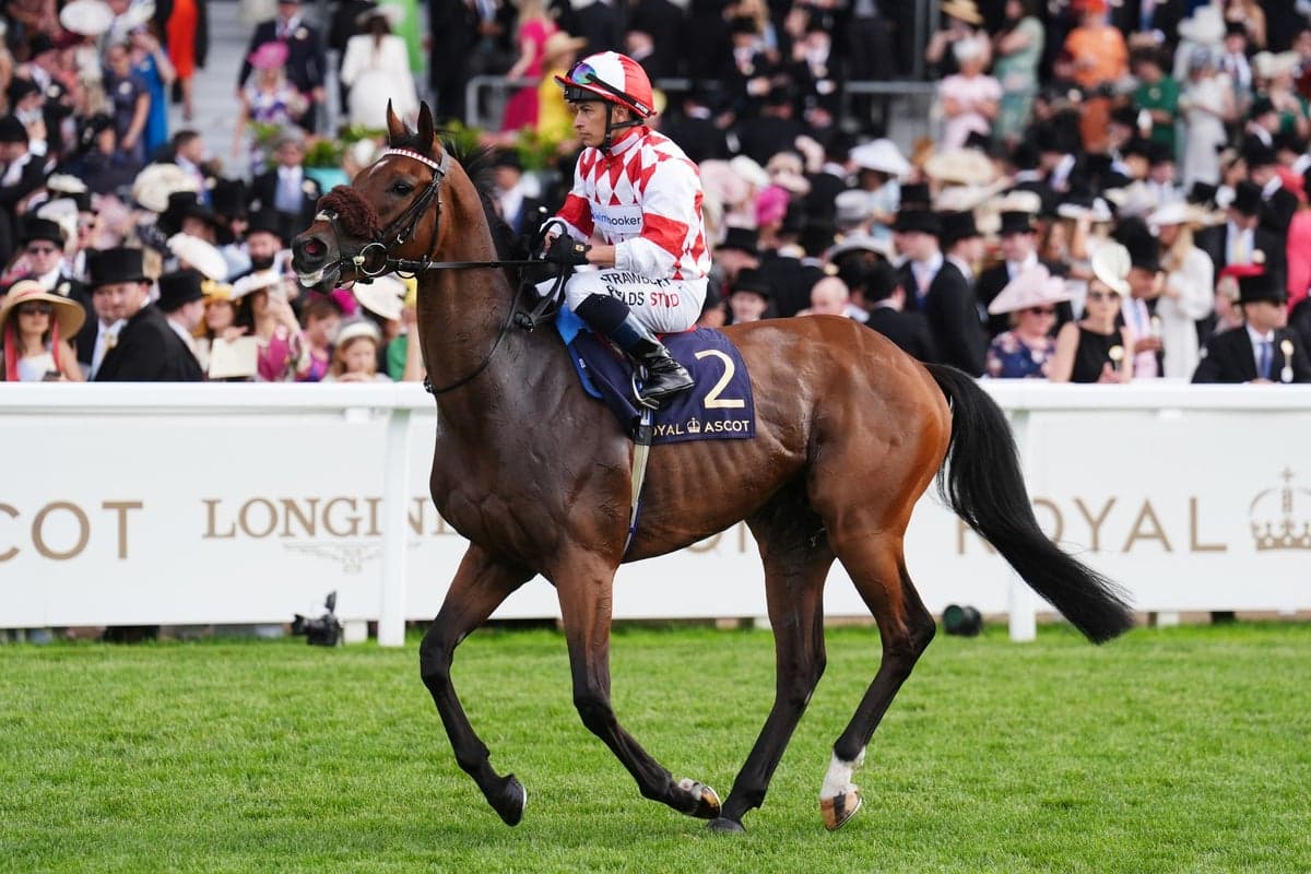 Saturday’s racing tips: Best bets and odds from Market Rasen and Newbury