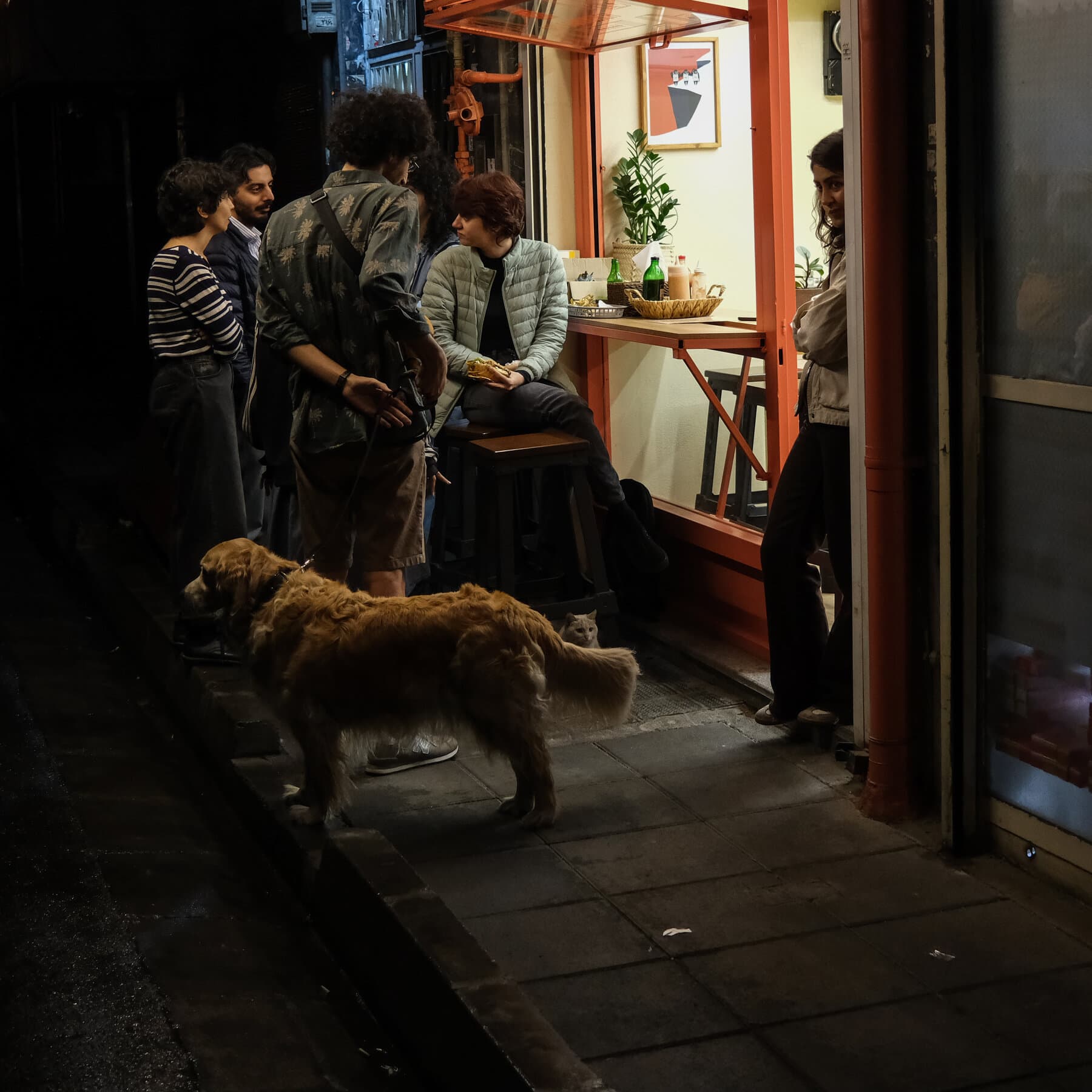 Where Iran’s Young People Gather, the Government Sees Threats to Its Authority