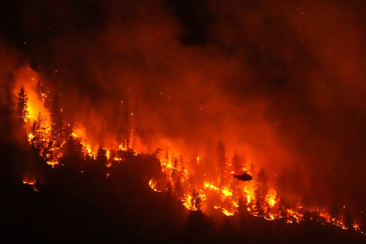 Climate change contributed to big Canada fires, study says as Trump blames mismanagement