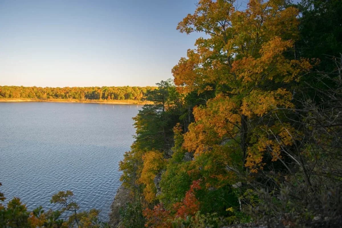 85% of Missouri’s waterways have ‘potentially unsafe’ amounts of feces in them