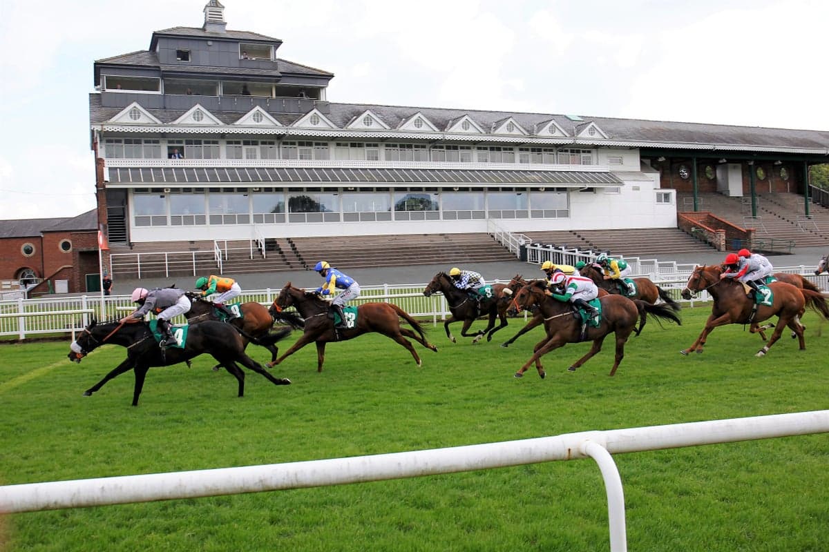 Friday racing tips: Best bets and odds for Thirsk