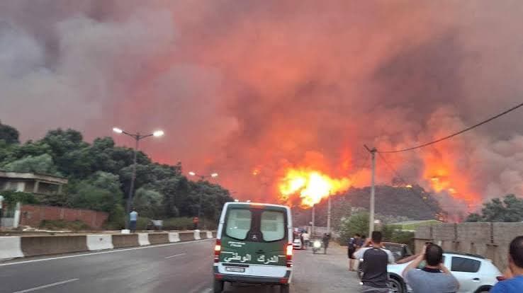 Wildfires in Algeria: At Least 69 Dead and Many Injured