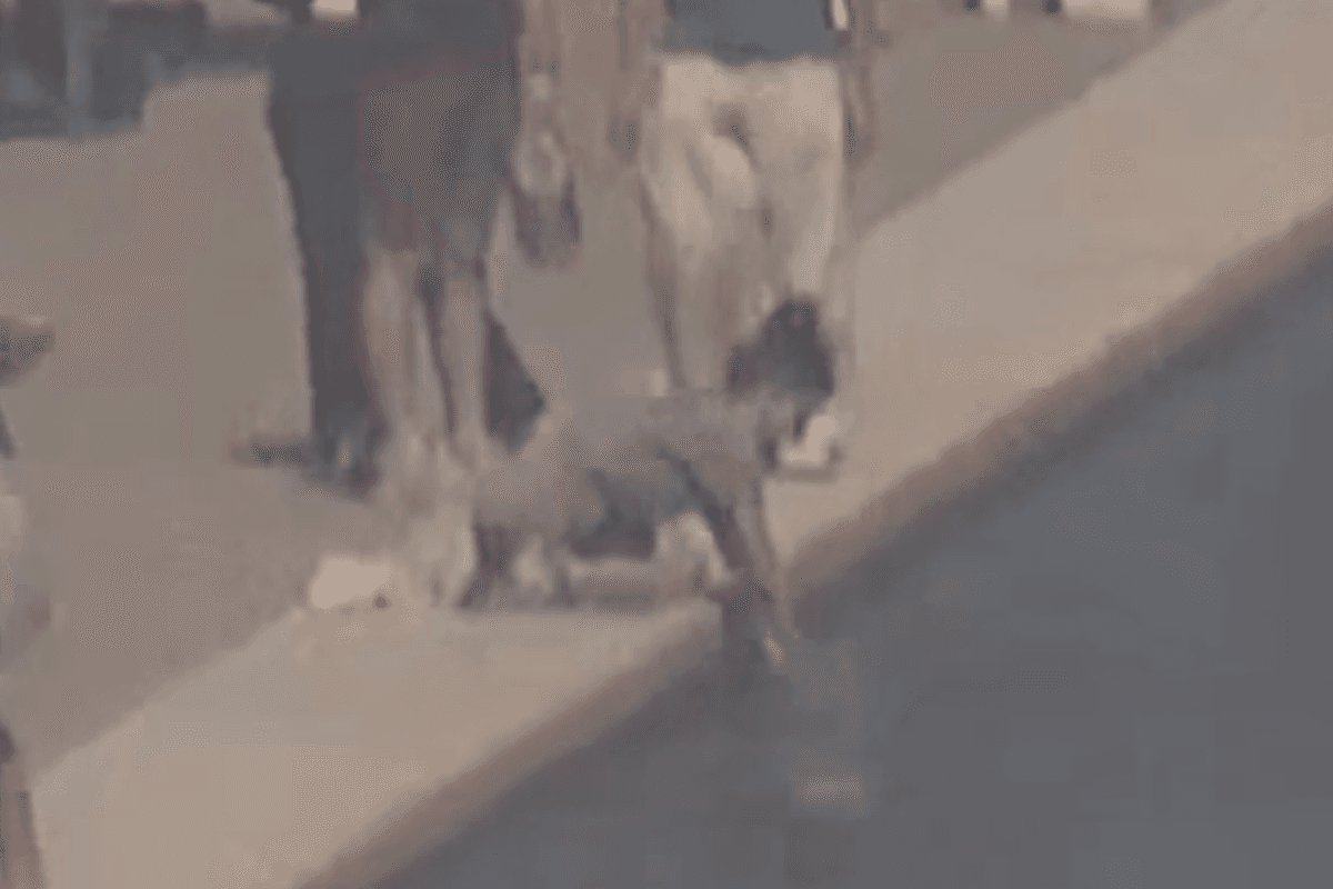 Footage of woman wanted after Lincoln Memorial Reflecting Pool ‘destruction’ released by Park Police