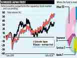 SCHRODER JAPAN TRUST: Fund that puts its faith in Japan being the land of the rising profit