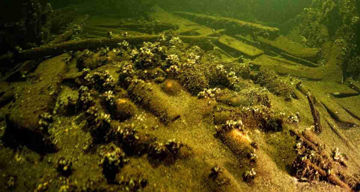 One hundred unopened bottles of champagne found inside 19th century shipwreck