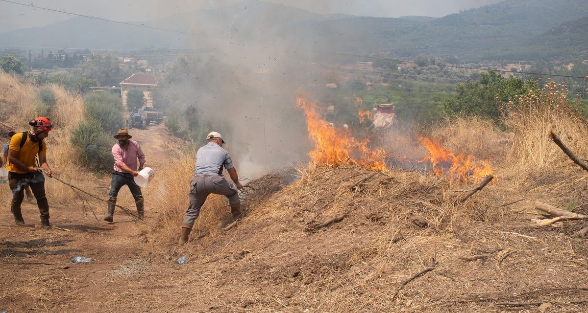 Europe heatwave: Spain summer heat breaks records as 50,000 flee Turkey wildfires