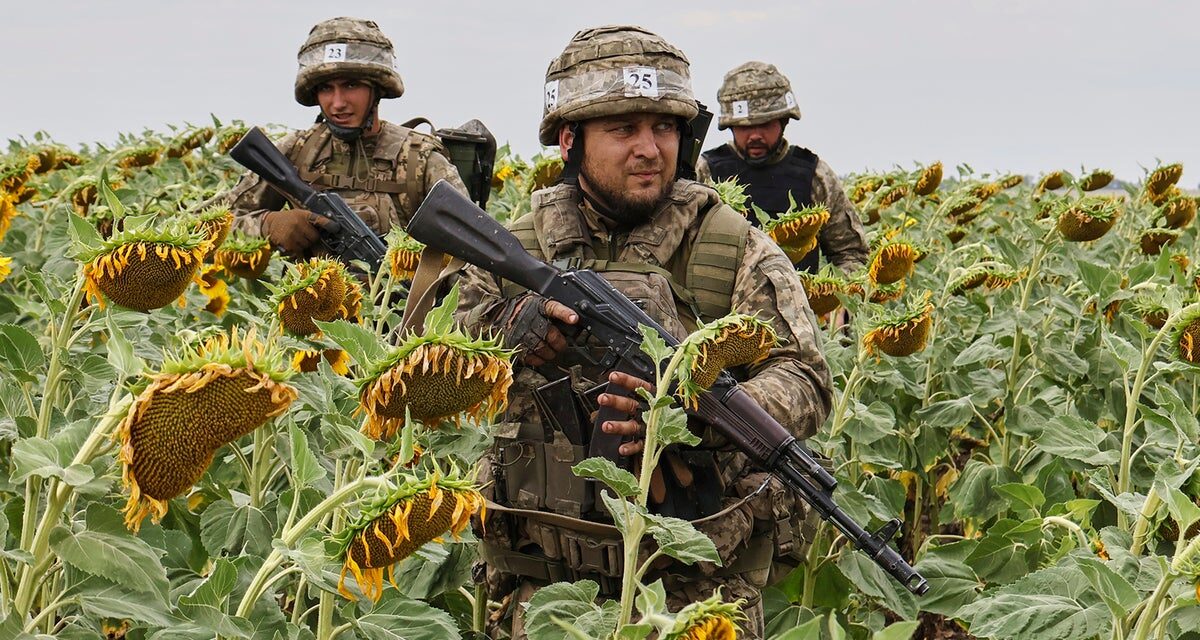Ukraine-Russia war latest: Zelensky warns Putin will launch new war from land gained in Trump deal