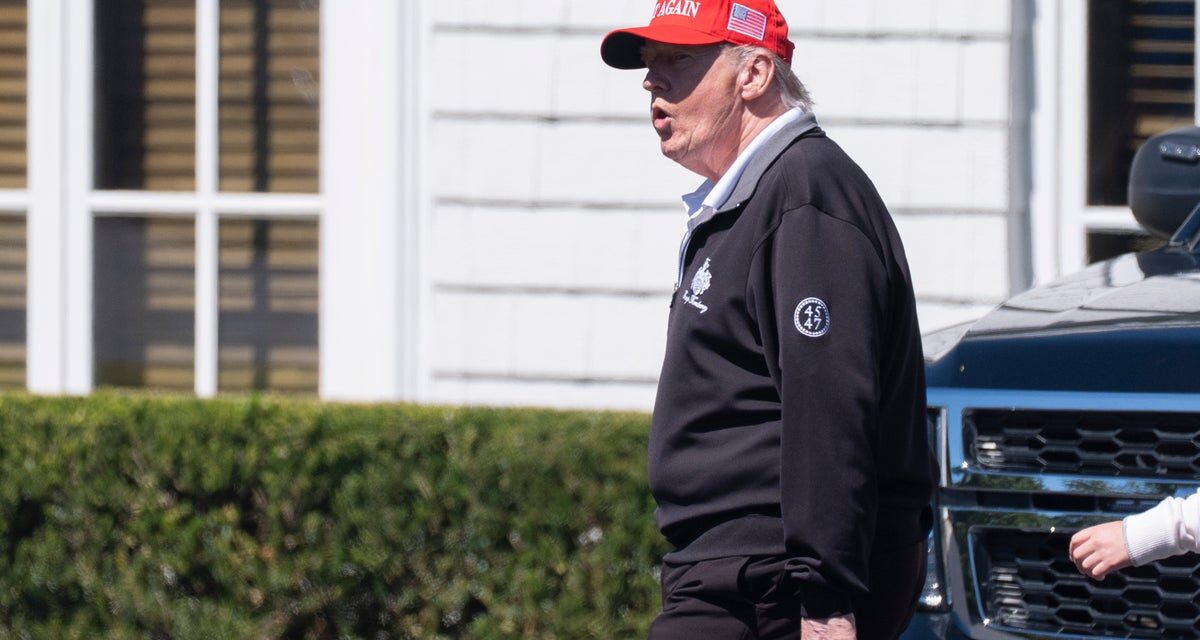 Trump claps back after weekend of speculation about his health: ‘Never felt better in my life’