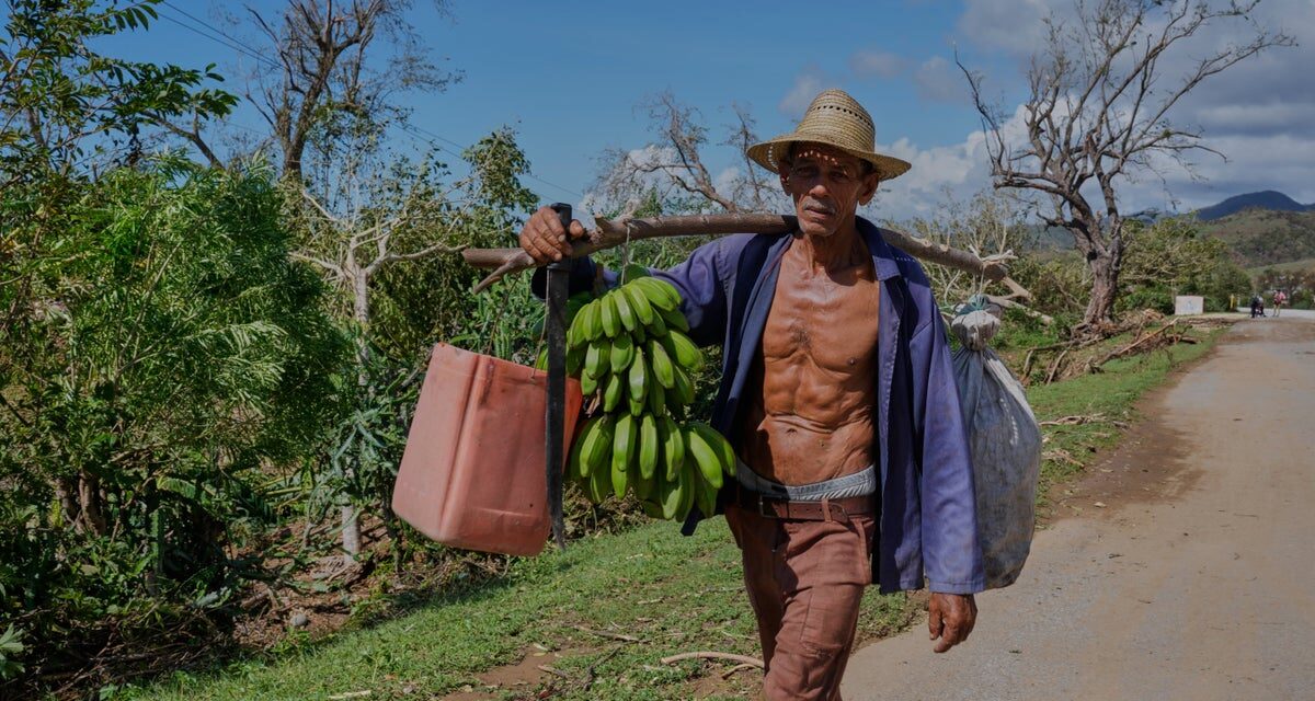 Hurricane Melissa deals another heavy blow to Jamaica’s farmers and fishers