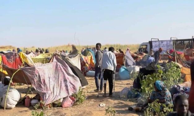 Gennaro Migliore and  Nidal Shoukeir (ICCEHS) call for urgent global action to end the humanitarian catastrophe in Sudan