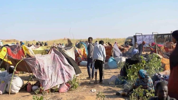 Gennaro Migliore and  Nidal Shoukeir (ICCEHS) call for urgent global action to end the humanitarian catastrophe in Sudan