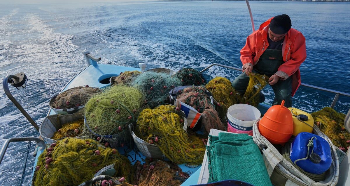 Cyprus fishermen turn venomous species into tavern delicacy
