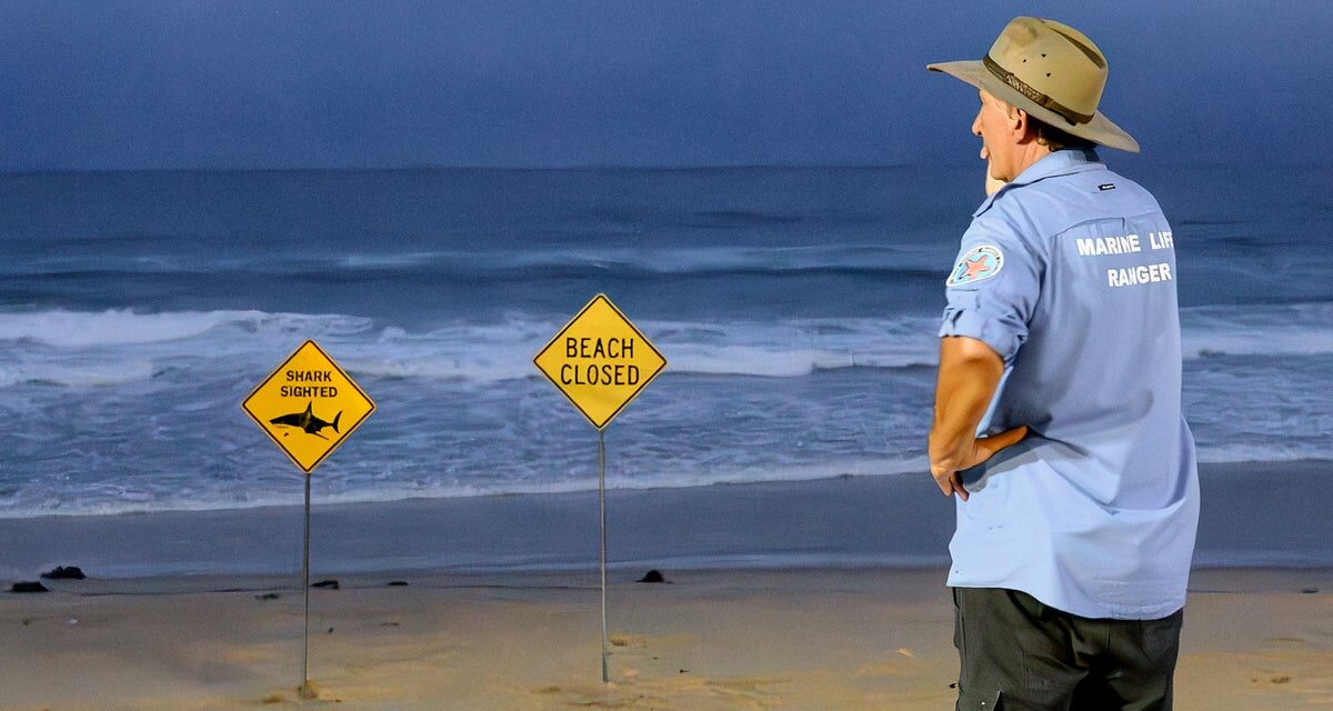 Australia’s 12-year-old shark attack victim named as family disclose ‘devastating injuries’