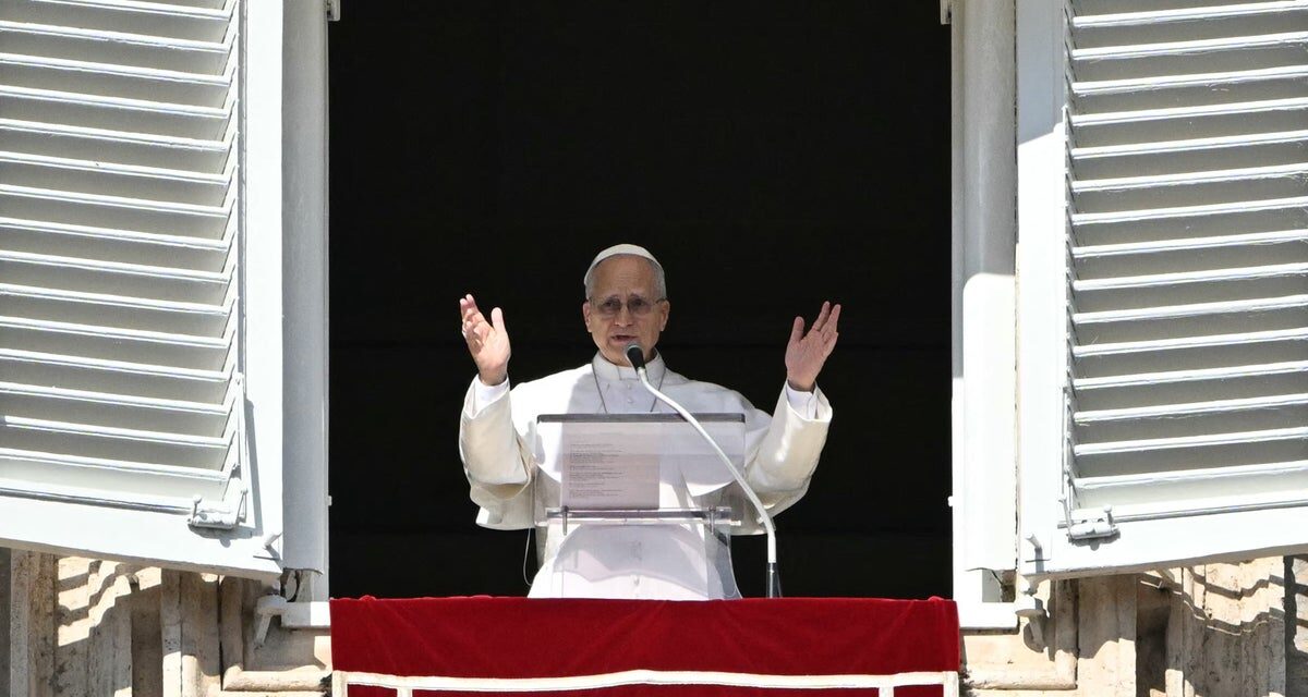 Pope Leo rejects Trump’s ‘Board of Peace’ invite and backs UN to solve global crises