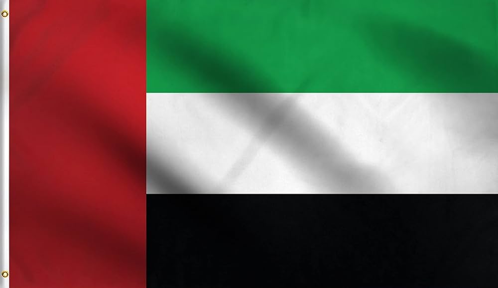Nidal Shoukeir, “We Are With You. The World’s Message to the Gulf States